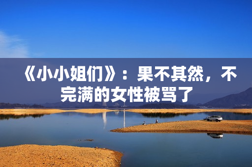 《小小姐们》：果不其然，不完满的女性被骂了