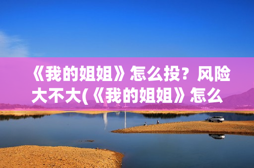 《我的姐姐》怎么投？风险大不大(《我的姐姐》怎么样)