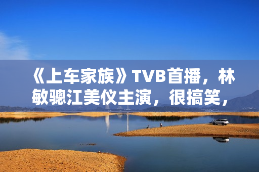 《上车家族》TVB首播，林敏骢江美仪主演，很搞笑，港剧老滋味