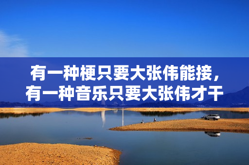 有一种梗只要大张伟能接，有一种音乐只要大张伟才干玩，太鬼才了