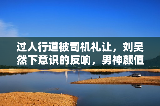 过人行道被司机礼让,刘昊然下意识的反响,男神颜值真高 过人行道被司机礼让,刘昊然下意识的反响,男神颜值真高