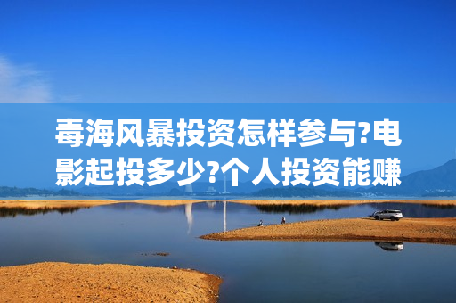 毒海风暴投资怎样参与?电影起投多少?个人投资能赚钱吗?(毒海风暴有哪几个公司参与)