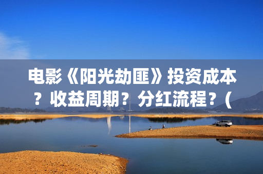 电影《阳光劫匪》投资成本？收益周期？分红流程？(阳光劫匪大电影)