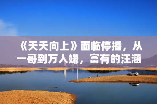 《天天向上》面临停播，从一哥到万人嫌，富有的汪涵可能并不在乎