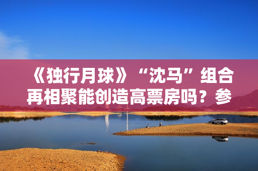 《独行月球》“沈马”组合再相聚能创造高票房吗？参与投资怎么对接？