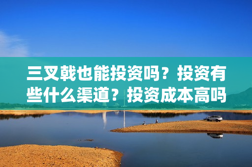 三叉戟也能投资吗？投资有些什么渠道？投资成本高吗？(三叉戟哪个公司投资的)
