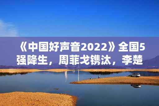 《中国好声音2022》全国5强降生，周菲戈镌汰，李楚楚升级难服众