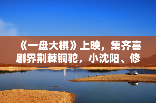 《一盘大棋》上映，集齐喜剧界荆棘铜驼，小沈阳、修睿演郭涛儿子