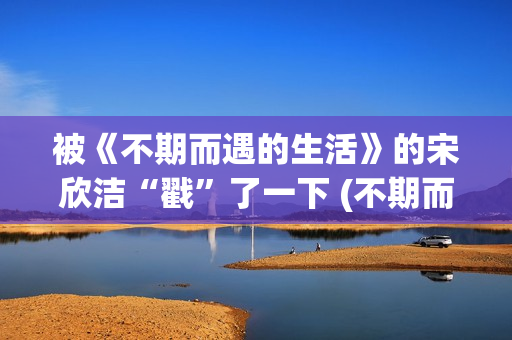 被《不期而遇的生活》的宋欣洁“戳”了一下 (不期而遇的作者)