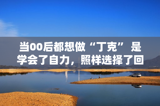当00后都想做“丁克” 是学会了自力，照样选择了回避？