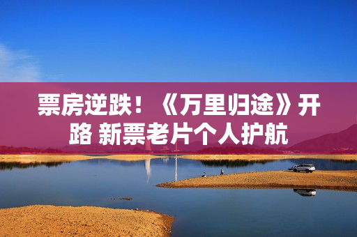 票房逆跌！《万里归途》开路 新票老片个人护航