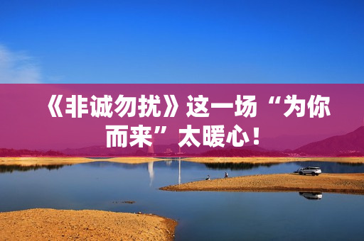 《非诚勿扰》这一场“为你而来”太暖心！