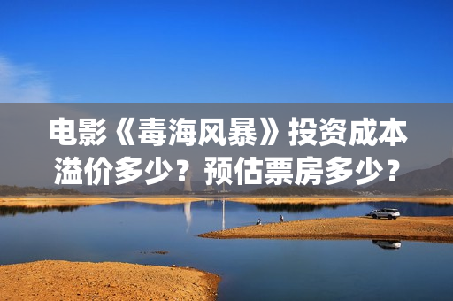 电影《毒海风暴》投资成本溢价多少？预估票房多少？怎么投资? (电影《毒海风暴》在线观看)