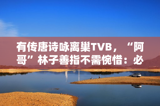 有传唐诗咏离巢TVB，“阿哥”林子善指不需惋惜：必然支撑