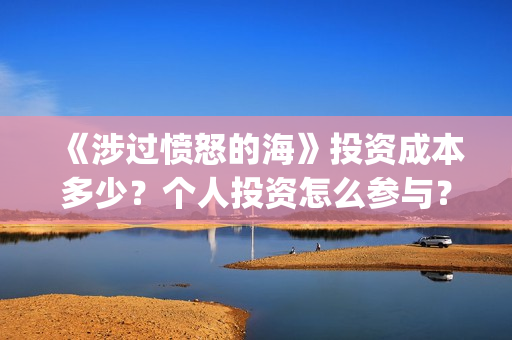 《涉过愤怒的海》投资成本多少？个人投资怎么参与？风险高吗？(涉过愤怒的海事件原型)