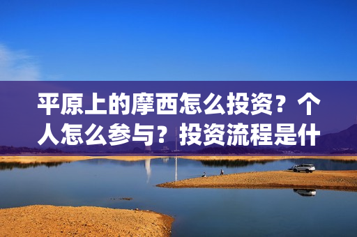 平原上的摩西怎么投资？个人怎么参与？投资流程是什么？(平原上的摩西中的摩西是啥)
