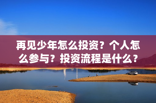再见少年怎么投资？个人怎么参与？投资流程是什么？(再见,少年怎么投)