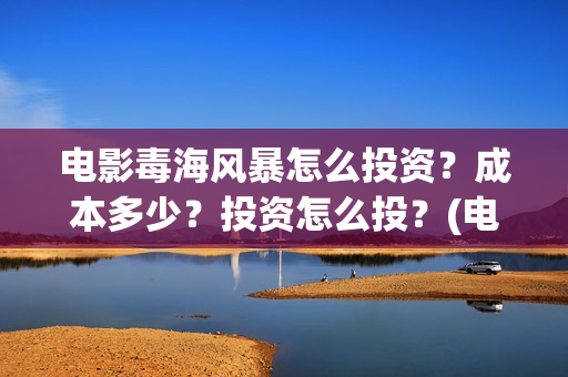 电影毒海风暴怎么投资？成本多少？投资怎么投？(电影《毒海风暴》)
