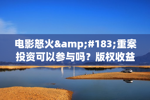 电影怒火·重案投资可以参与吗？版权收益怎么计算的？(怒火·重案 电影在线播放)