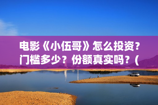 电影《小伍哥》怎么投资?门槛多少?份额真实吗?(小伍哥在线观看) 电影《小伍哥》怎么投资?门槛多少?份额真实吗?(小伍哥在线观看)