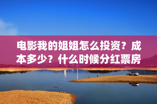 电影我的姐姐怎么投资？成本多少？什么时候分红票房？(我的姐姐标清)