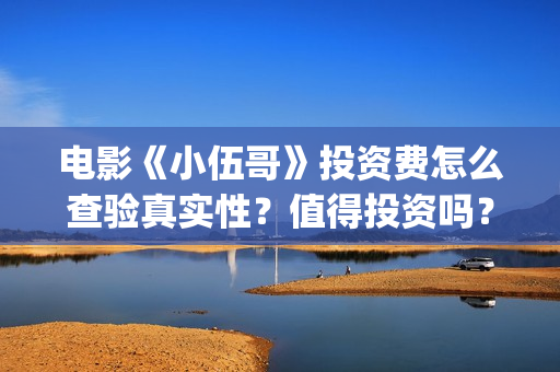 电影《小伍哥》投资费怎么查验真实性？值得投资吗？投资收益怎么计算？ (电影小伍哥是哪家公司制片的)