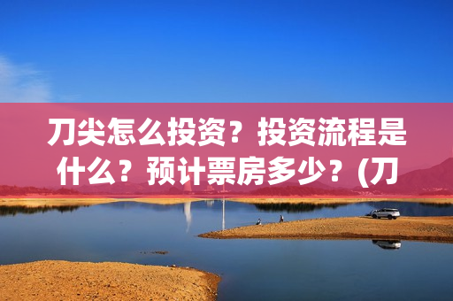 刀尖怎么投资？投资流程是什么？预计票房多少？(刀尖成本)
