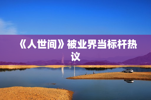 《人世间》被业界当标杆热议