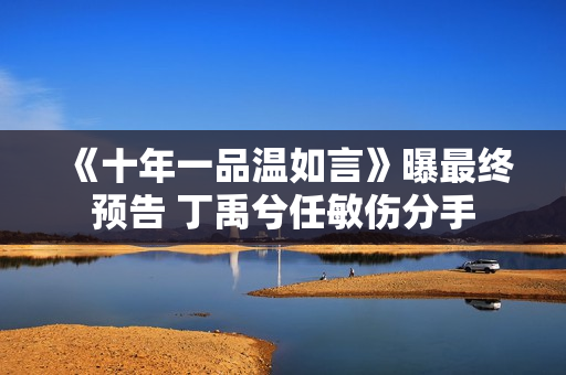 《十年一品温如言》曝最终预告 丁禹兮任敏伤分手