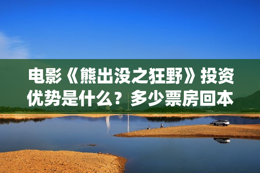 电影《熊出没之狂野》投资优势是什么？多少票房回本？怎么投资？(电影熊出没之年货)