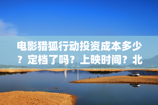 电影猎狐行动投资成本多少？定档了吗？上映时间？北京(猎狐行动电影简介)