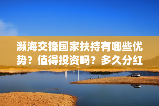 濒海交锋国家扶持有哪些优势？值得投资吗？多久分红？(濒海交锋能投吗)