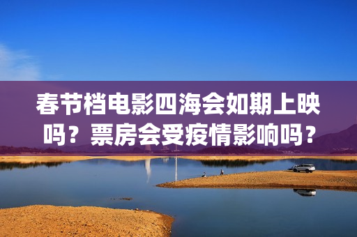 春节档电影四海会如期上映吗？票房会受疫情影响吗？投资怎么参与？(电影四海海报)