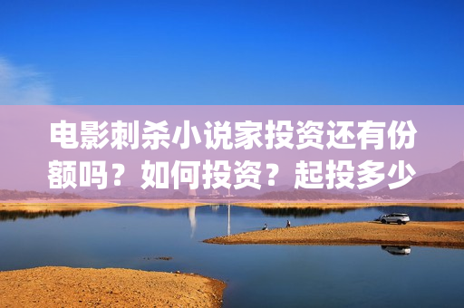 电影刺杀小说家投资还有份额吗？如何投资？起投多少？(电影刺杀小说家剧情简介)