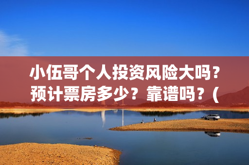 小伍哥个人投资风险大吗？预计票房多少？靠谱吗？(小伍哥出品方)