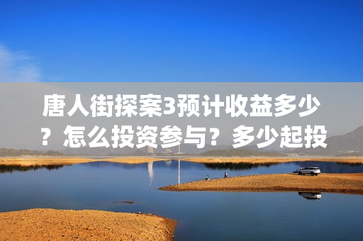 唐人街探案3预计收益多少？怎么投资参与？多少起投？(唐人街探案3rmvb)
