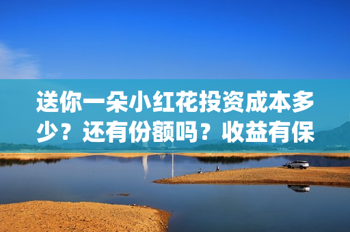 送你一朵小红花投资成本多少?还有份额吗?收益有保障吗?(送你一朵小红花歌词表达什么意思) 送你一朵小红花投资成本多少?还有份额吗?收益有保障吗?(送你一朵小红花歌词表达什么意思)