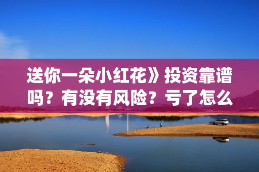 送你一朵小红花》投资靠谱吗？有没有风险？亏了怎么办？(送你一朵小红花电影剧情介绍)