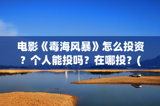 电影《毒海风暴》怎么投资？个人能投吗？在哪投？(毒海风暴有哪几家拍摄)