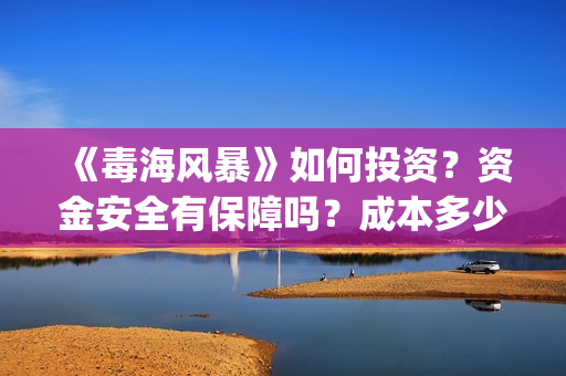 《毒海风暴》如何投资？资金安全有保障吗？成本多少？(毒海风暴上映时间)