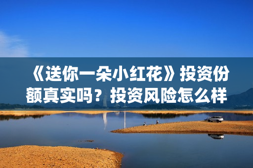 《送你一朵小红花》投资份额真实吗？投资风险怎么样？怎么(送你一朵小红花歌词表达什么意思)