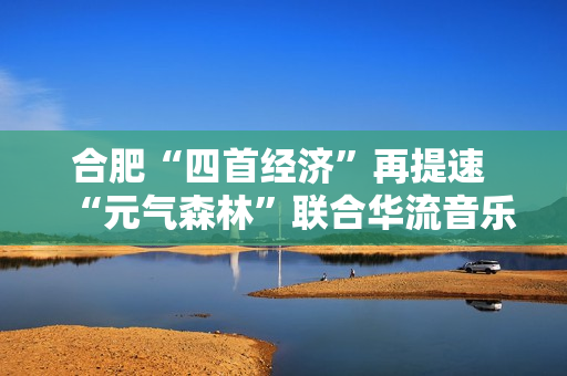 合肥“四首经济”再提速 “元气森林”联合华流音乐集团打造青年空间首店落户