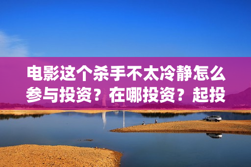 电影这个杀手不太冷静怎么参与投资？在哪投资？起投门槛多少？(电影这个杀手不太冷静演员表)