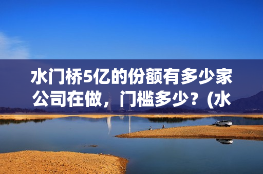 水门桥5亿的份额有多少家公司在做，门槛多少？(水门桥剩了谁)