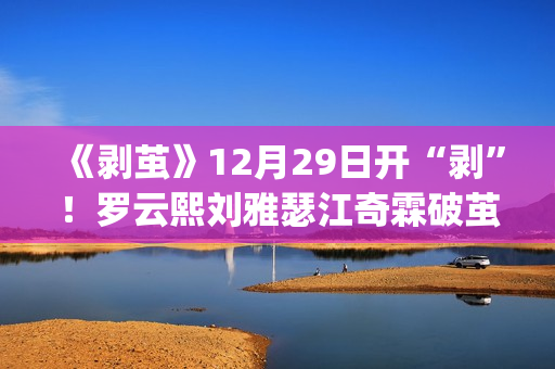 《剥茧》12月29日开“剥”！罗云熙刘雅瑟江奇霖破茧缉凶(剥茧电视剧)