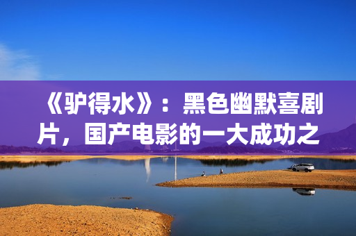 《驴得水》：黑色幽默喜剧片，国产电影的一大成功之作！(驴得水是真实的故事吗)