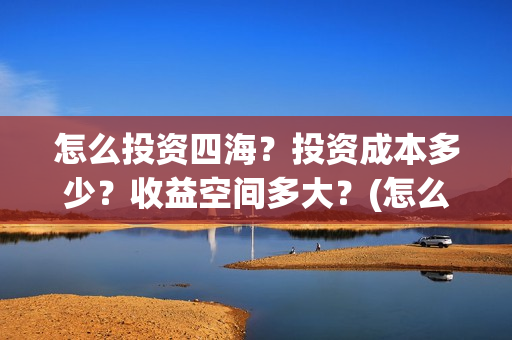 怎么投资四海？投资成本多少？收益空间多大？(怎么投资四海集团公司)
