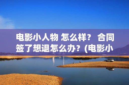 电影小人物 怎么样？ 合同签了想退怎么办？(电影小人物到底什么身份)
