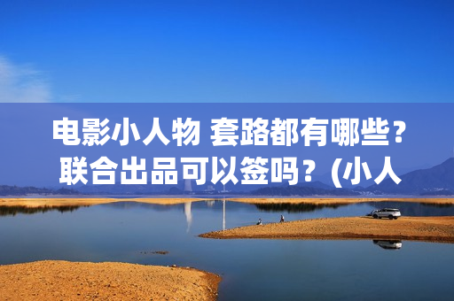 电影小人物 套路都有哪些？ 联合出品可以签吗？(小人物这部电影)