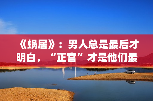 《蜗居》：男人总是最后才明白，“正宫”才是他们最坚定的同盟(电视剧蜗居的男主角)